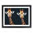 Black Framed selected
