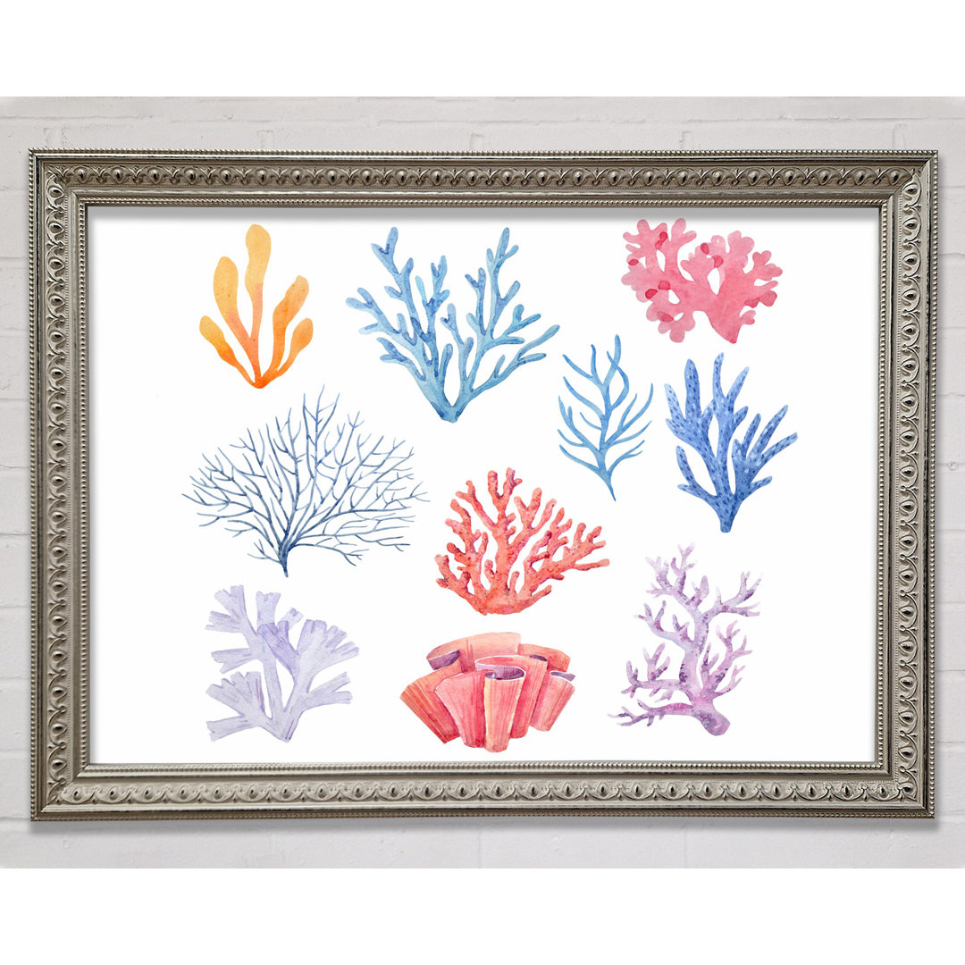 Sea Life Coral - Einzelner Bilderrahmen Kunstdrucke