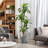 Adcock Artificial Dracaena Tree in Pot-1798418967