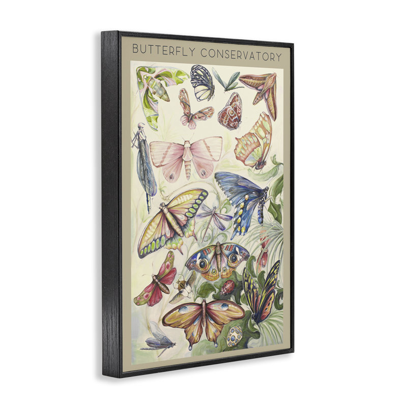 Giclée encadrée par Butterfly, H 30 po x l 20 po, Giclée encadrée noir minuit