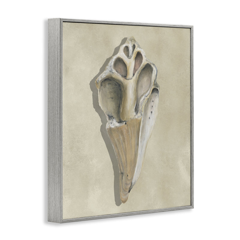 Estampe numérique Broken Conch Shell, conception de Michael Willett, Estampe numérique Farmhouse, H 14 po x l 11 po