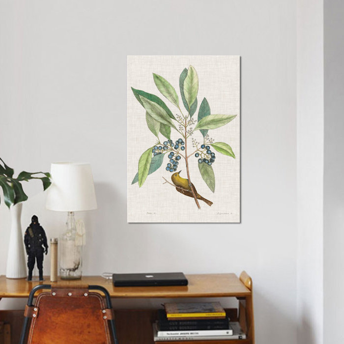 «Études», impression sur toile, H 26 po x l 18 po x P 1,5 po, Pas de tapis, Toile tendue