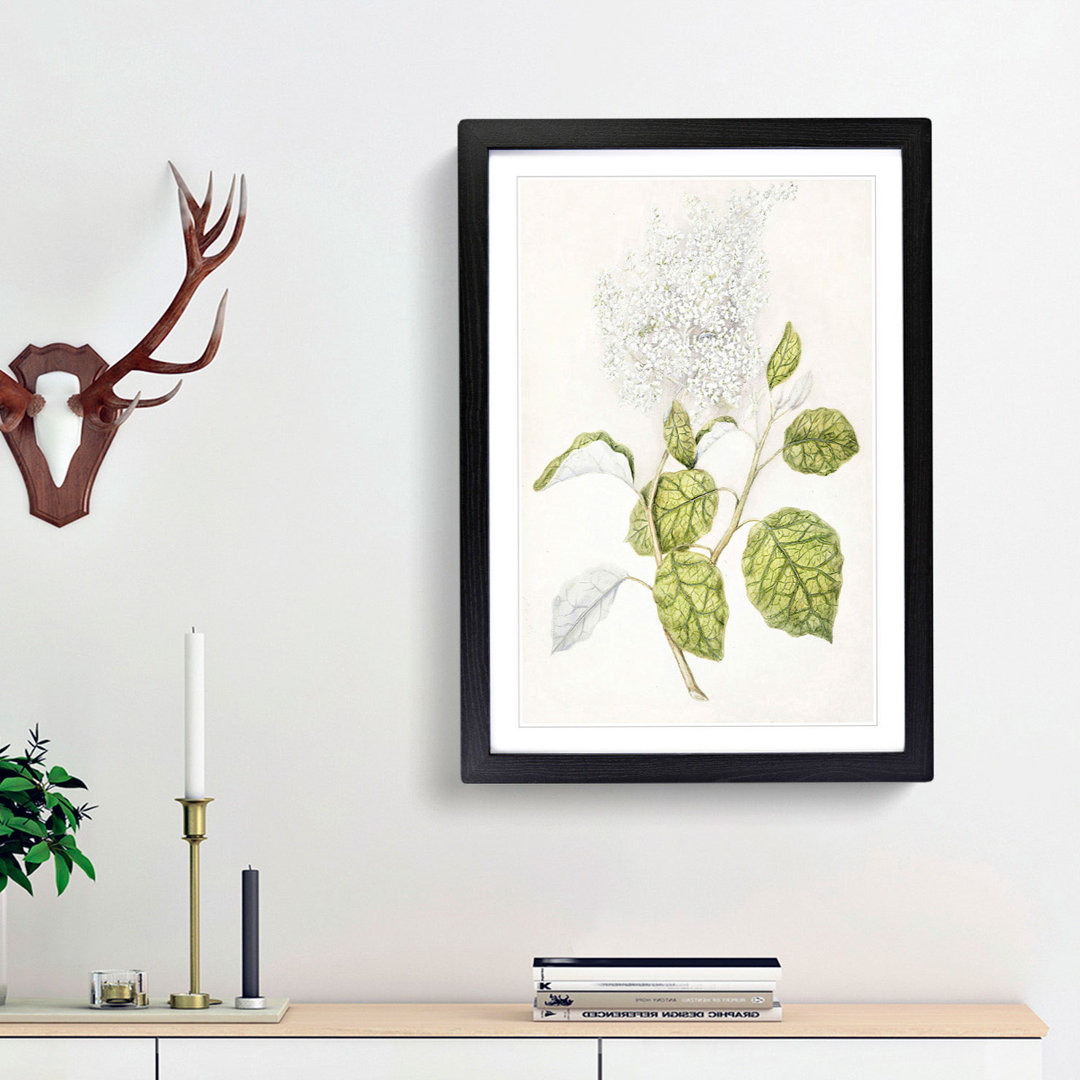 Rangiora Flowers by Sarah Featon - Framed Print