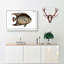Hairy Angel-Fish by M.E. Bloch - Wrapped Canvas Print-55310967