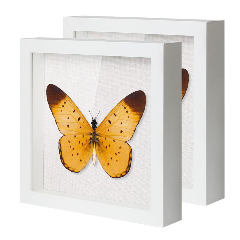 10"X10" Shadow Boxes Display Cases With Soft Linen Back Deep Wood Glass 3D Shadow Box Set For Wall And Tabletop Baby Sports, 2 Pack White