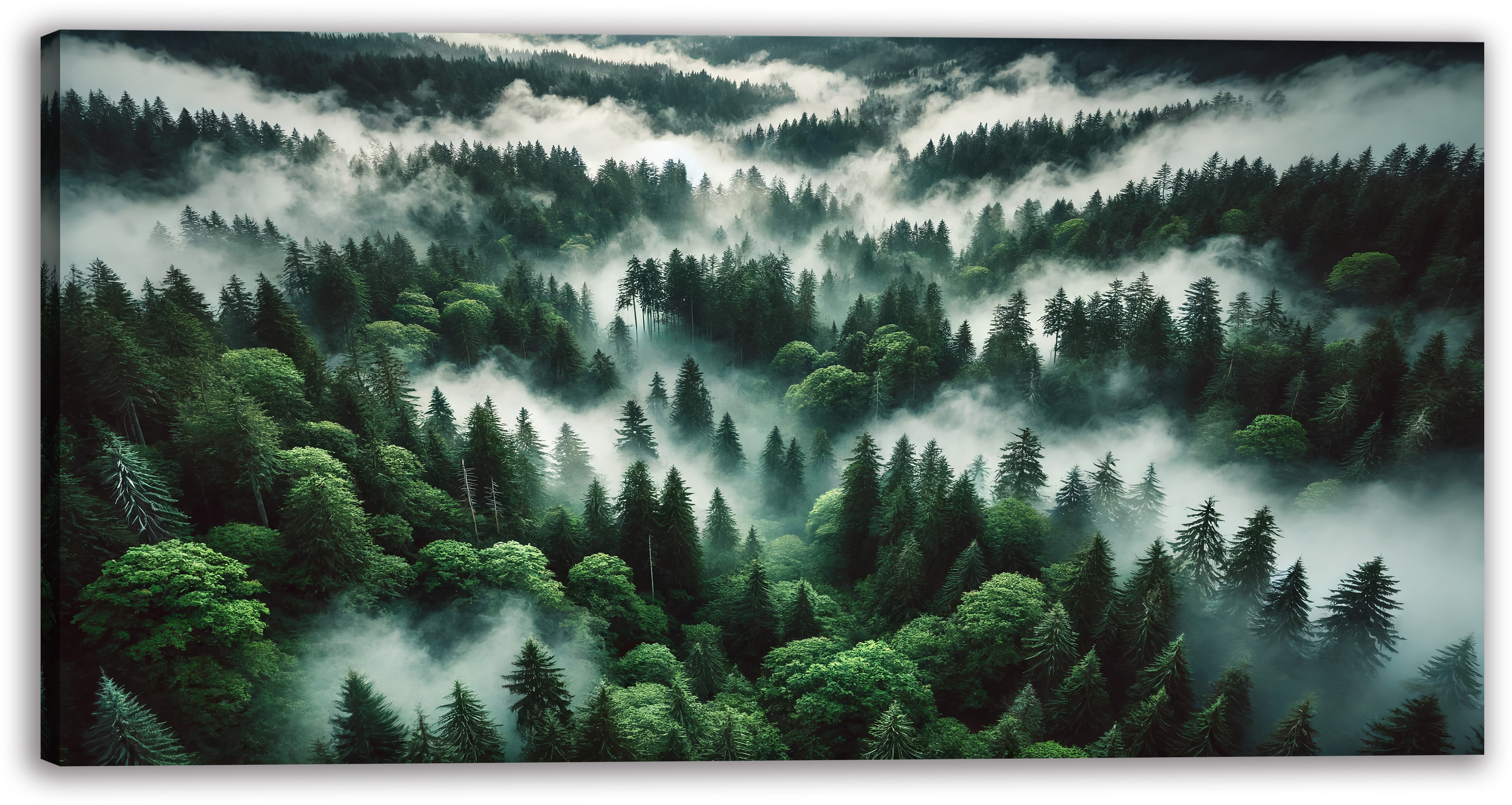 Millwood Pines Misty Forest Wrapped Canvas Wall Art | Wayfair