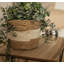 Teddy Plant Pot