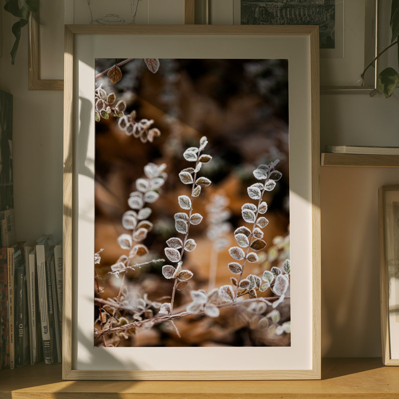 Wrapped Canvas Print