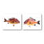 Red Fish Set by John Beard - Artist Enhanced Canvas Print-1497379566-1497379569