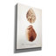Toile épique Graffiti «Sienna Shell Collector 1» par Annie Warren, 18 po x 26 po-1189092744