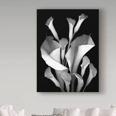 Trademark Art Susan S. Barmon White Calla 2 Black And White On Canvas  Graphic Art & Reviews | Wayfair