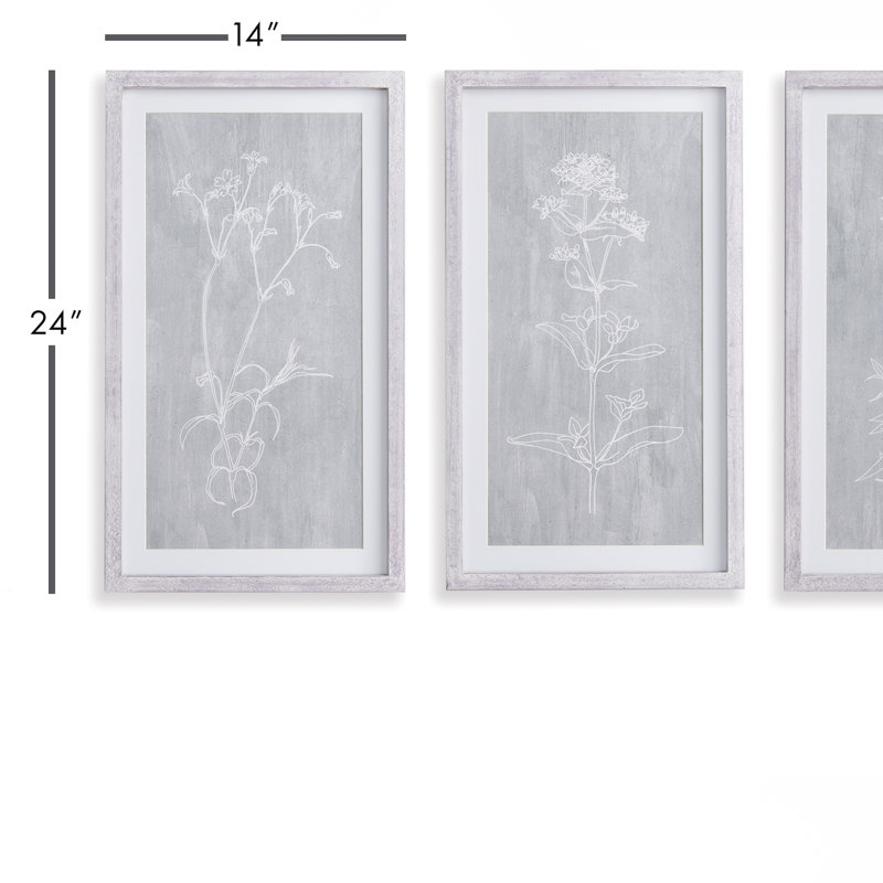 Pinar croquis botanique - ensemble de 3 reproductions de cadres photo sur bois