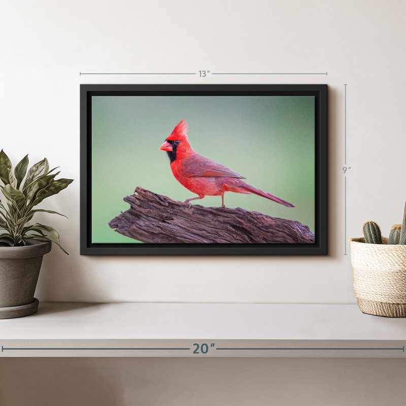 "Cardinal sur bois, art mural", H 9 po x l 13 po
