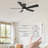 Georgann 52'' Ceiling Fan with LED Lights-446812564