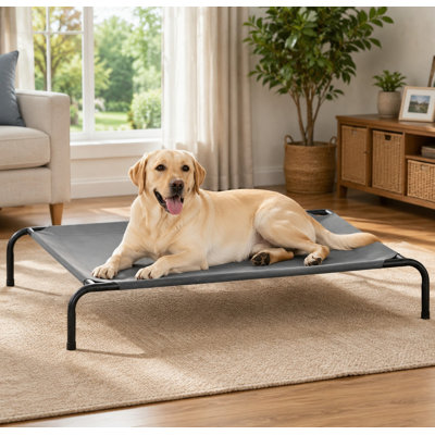 Lit de repos surélevé gris de 48 pouces pour grands chiens, chats ou autres animaux de compagnie, doté d'un cadre d'été durable, d'une maille respirante et d'une conception portable pour une utilisation intérieure et extérieure.