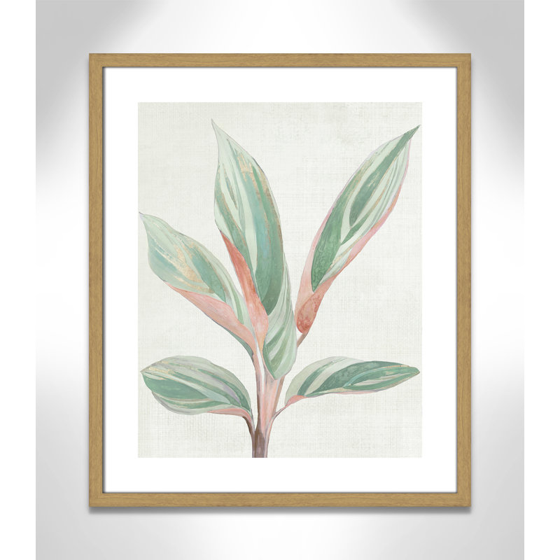 Ginger Plant I - reproduction d'art, H 25,5 po x l 21,5 po x P 0,75 po, Toile avec cadre en bois beige
