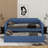 Twin Size Upholstered Daybed With Trundle-843436849