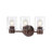3 - Light Dimmable Vanity Light-64481963-64481962