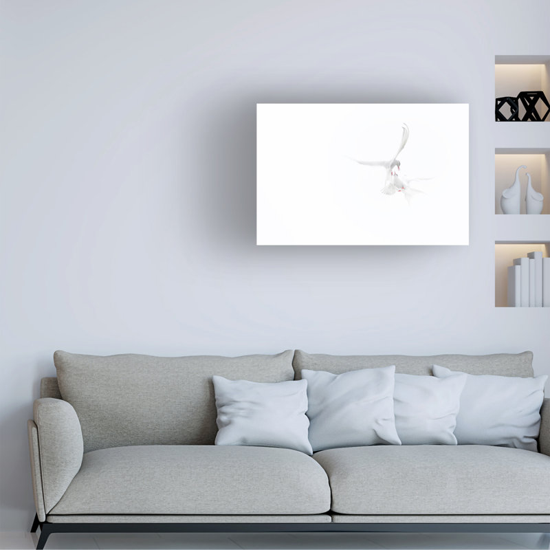 Roberto Marchegiani  Arctic Terns Canvas Art, 30" H x 47" W