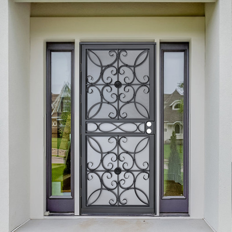 Porte de sécurité en acier gris de luxe Grisham, porte de tempête en fer 36 x 80 pouces