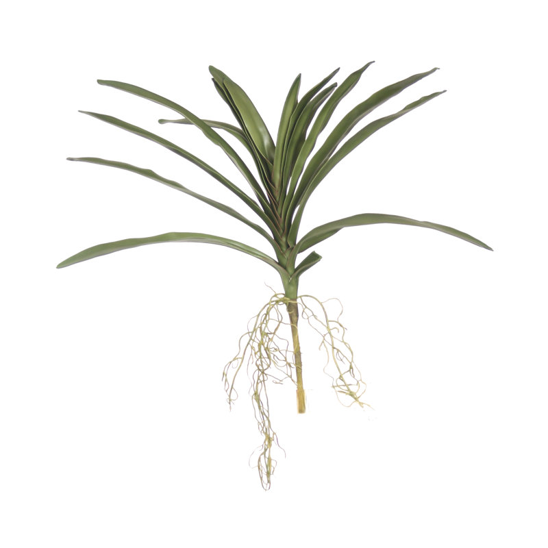 Bouquet de feuilles 20 "Vanda