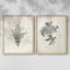 «Vintage Floral LXI», impression giclée sur cadre - ensemble de 2-1230941401-1230941392