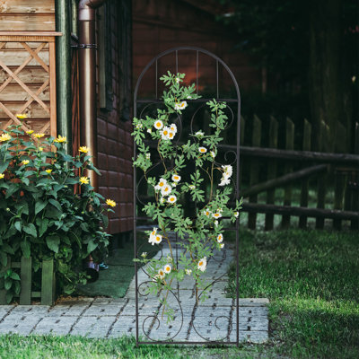 140Cm H x 43Cm W Metal Lattice Panel Trellis