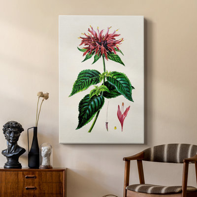 AntiqueFloralFolioI - galerie Cavas sur mesure
