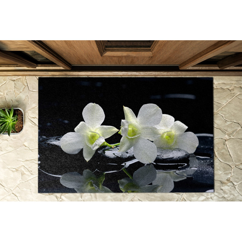 Non-Slip Outdoor Doormat