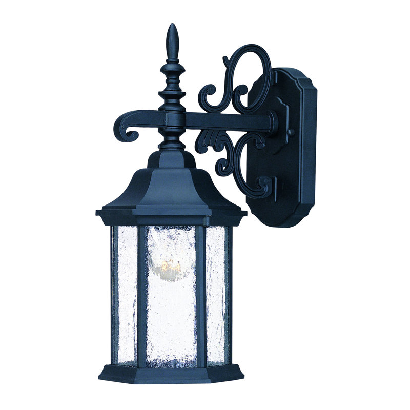 Lanterne murale d'extérieur à 1 ampoule Pruitt, Noir mat, Transparent