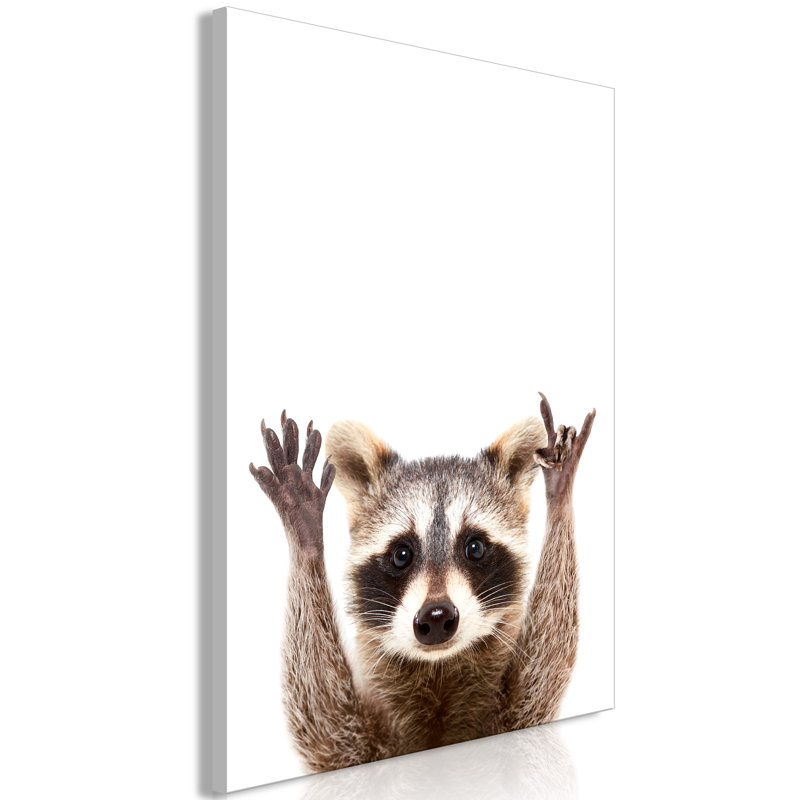 Raccoon - Print on Canvas, 90cm H x 60cm W