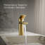 Robinet de lavabo pour salle de bain à poignée simple Parallel 0,5 gallons par minute-90031601