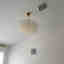 Customer photo 3 of 3