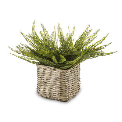 45cm Faux Evergreen Plant in Wicker/Rattan Pot