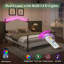 Structure de lit tapissier avec tête de lit 51,2 po Lark Manor-818393766-817797519