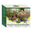 Mcelroy Plastic / Acrylic Single Tier Birdbath