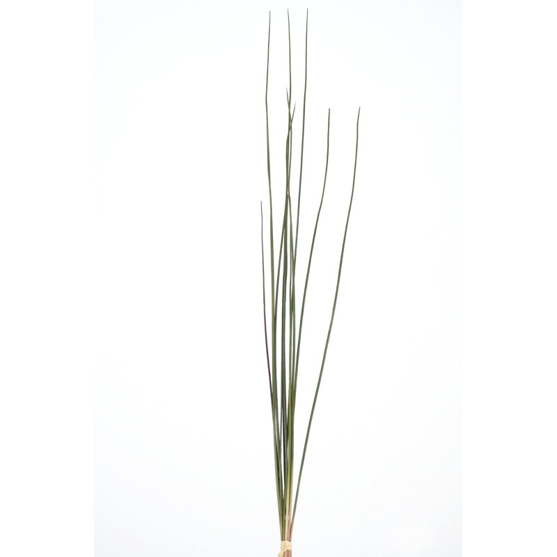 WIRED GRASS BUNDLE X 12 - GREEN