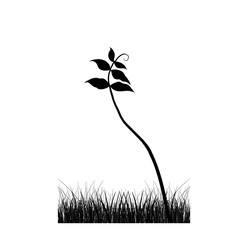 Minimalist Black & White Plant 1 Piece Wall Art on Canvas, 101.6 cm H x 66.04 cm W, Wrapped Canvas