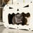 Pumpkin Face Cardboard Cat Scratcher Bed, Halloween Shaped Cat Cave with Scratching Pad, Indoor Cat House & Lounge