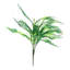 Boston Fern Leaf Arrangement
