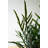  Artificial Fern in Black Pot for Home Decor – Faux Potted Green Plant, 27"