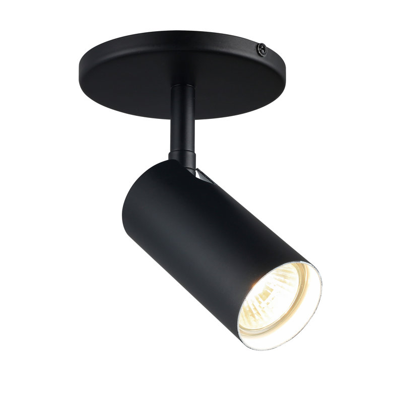 Projecteur 1 lumière Bivian