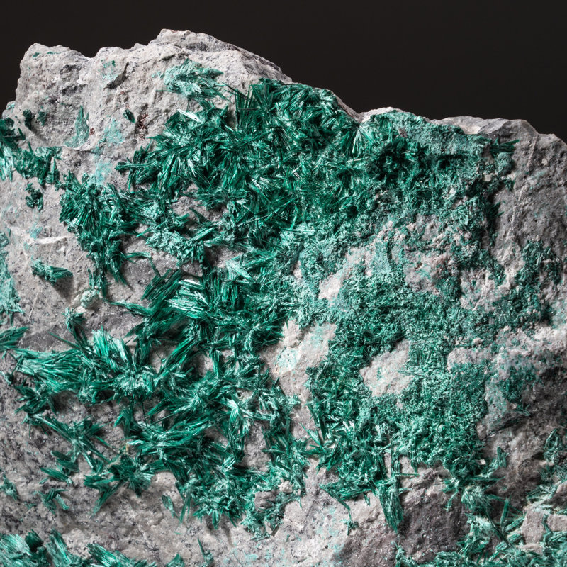Genuine Brochantite Cluster