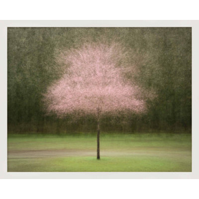 Pretty in Pink by Laura Zimmerman - Framed Wall Art