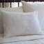 Abigail 100% Cotton Sham-221571396-221571385