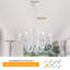 Dirksen 6-Light Candle Style Chandelier-1139506877