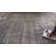 Audriaunna Shag Performance Rug