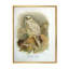 «Vintage Bird Life VII», peinture sur toile-59814563-59814564