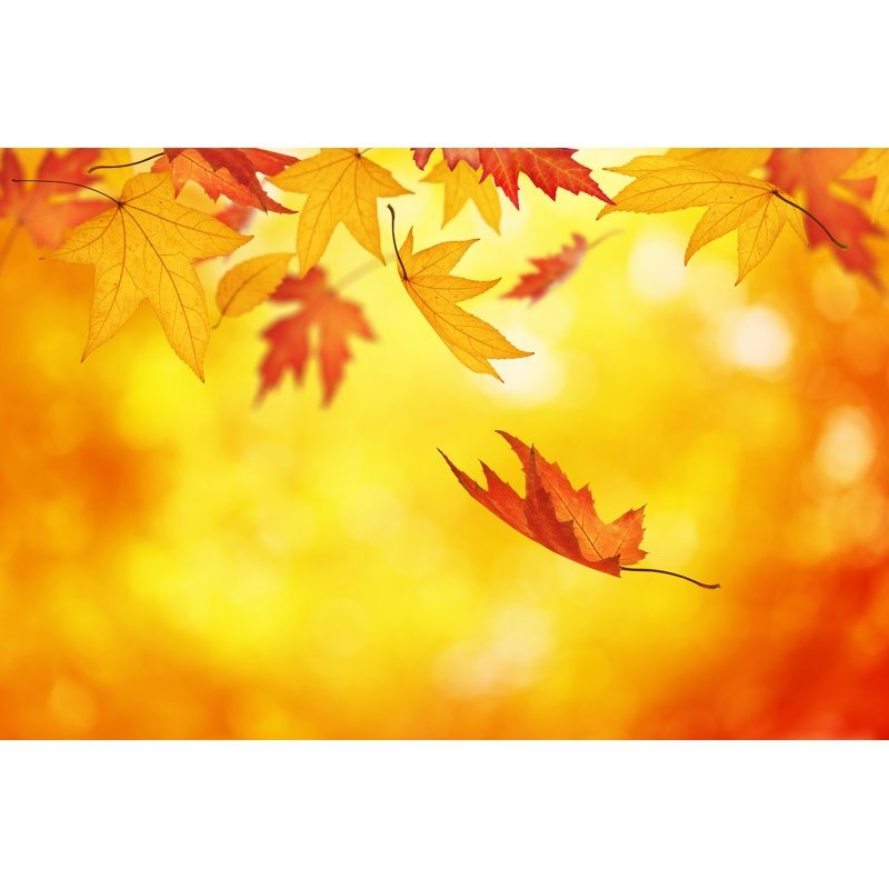 Colorful Autumn by Borchee - No Frame Print on Canvas, 30cm H x 46cm W