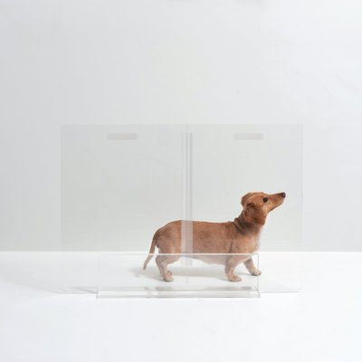 Low Clear Pet Gate Panel